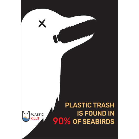 <i>Plastic Kills</i>