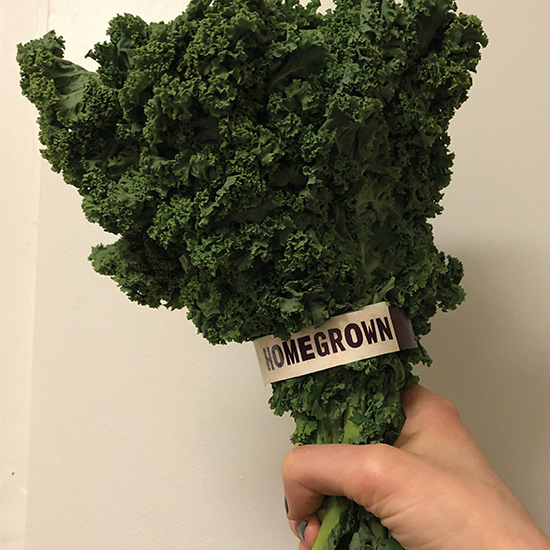 <i>Homegrown</i>