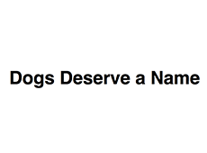 <i>Dogs Deserve a Name</i>