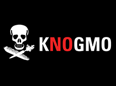 <i>K<b>NO</b>GMO</i>