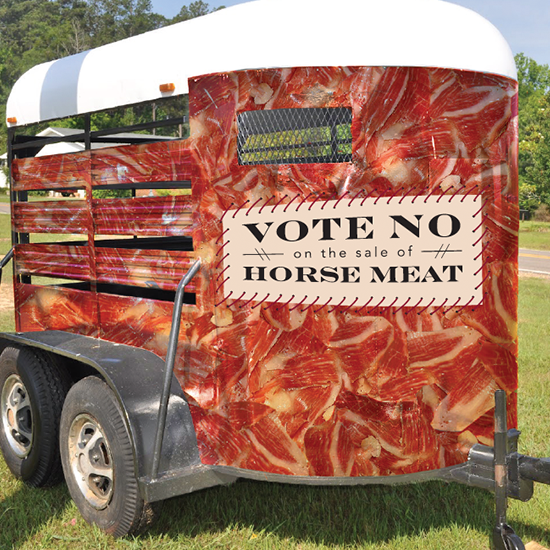 <i>Vote No on the Sale of Horse Meat<i>