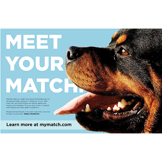 <i>Meet Your Match</i>