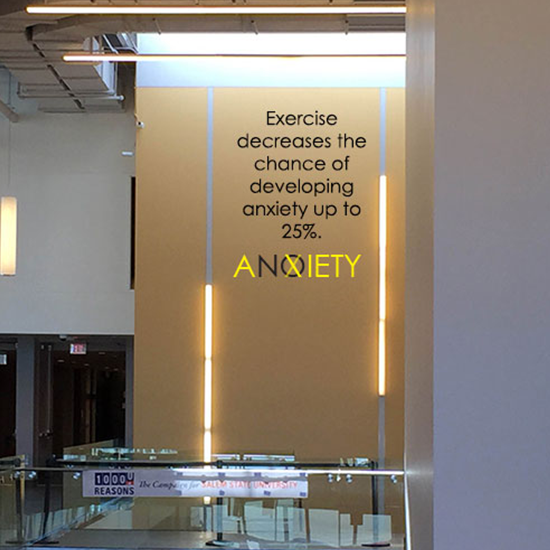 <i>No Anxiety</i>