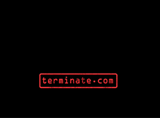 <i>Terminate.com</i>  – Video
