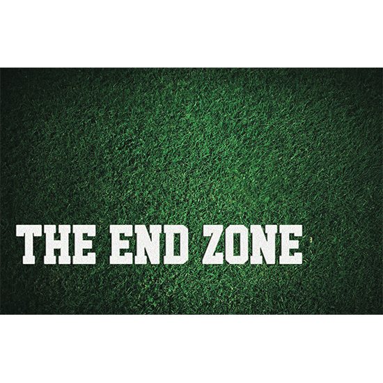 <i>The End Zone</i>