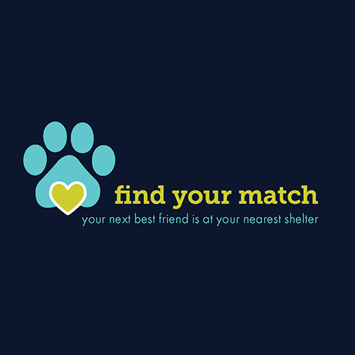 <i>Find Your Match</i>
